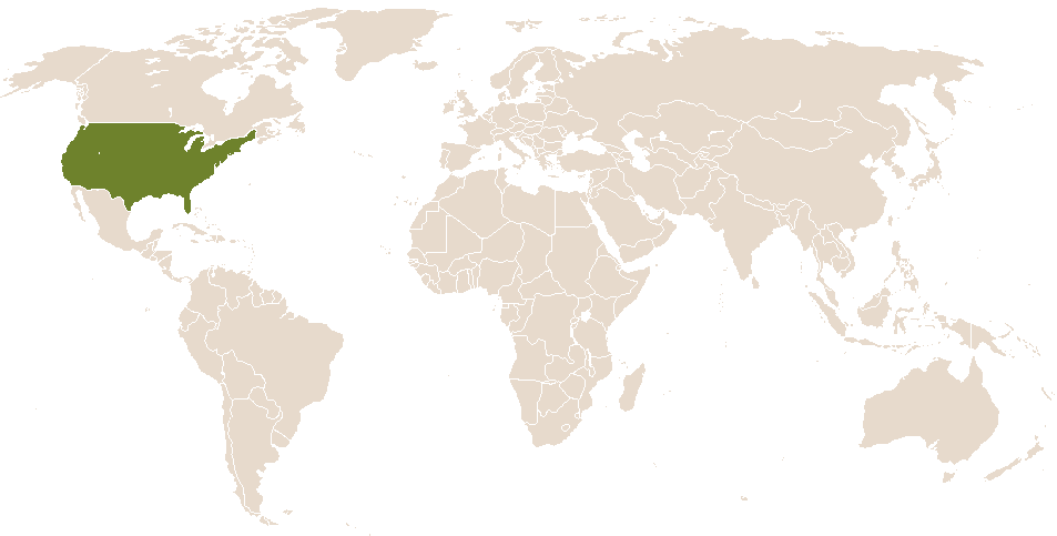 world popularity of Tamyka