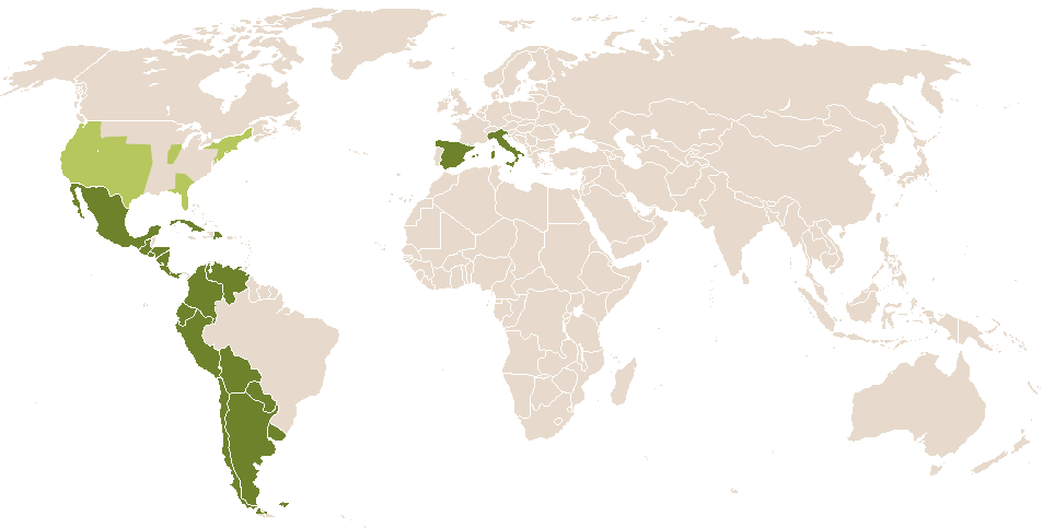 world popularity of Epafrodito