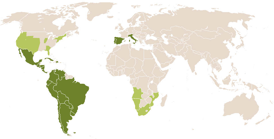 world popularity of Estige