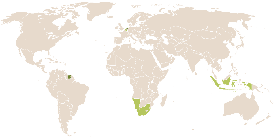 world popularity of Ghijsbrecht