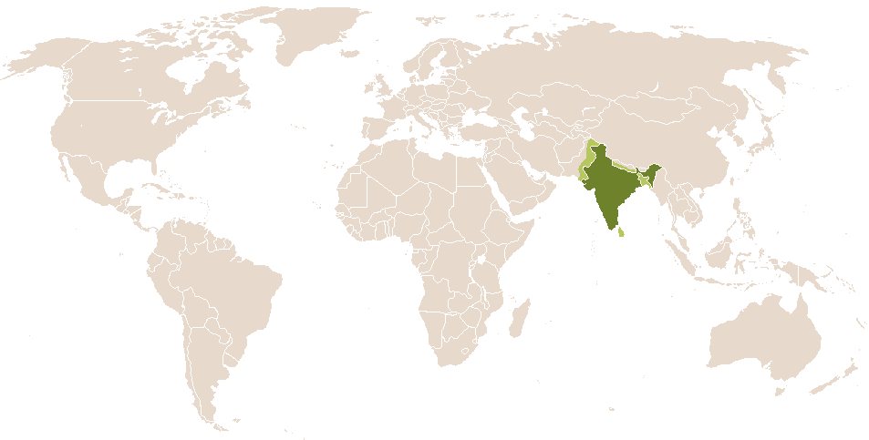 world popularity of Sriya