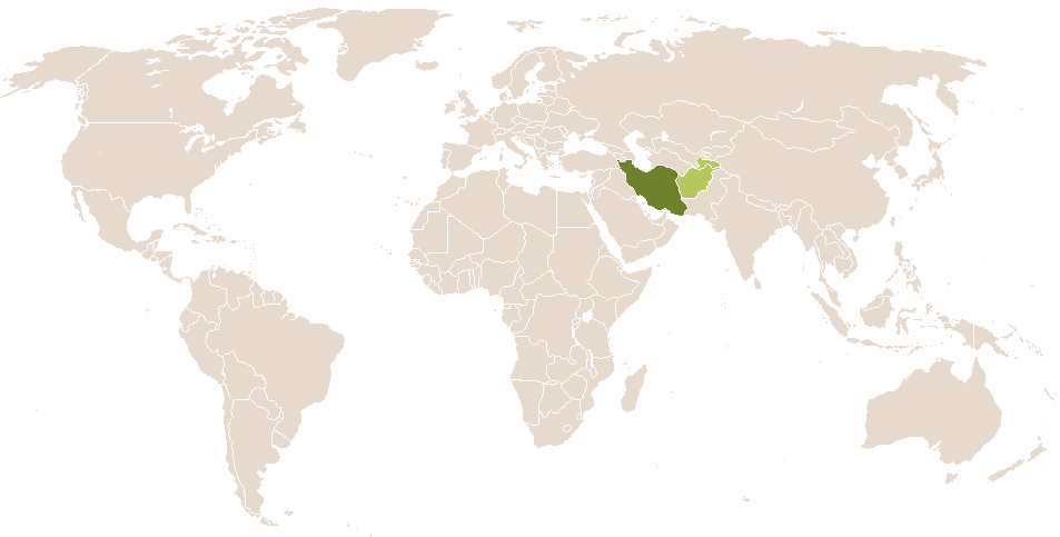 world popularity of Abdoli