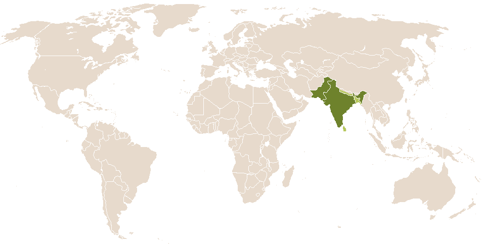 world popularity of Gulshan