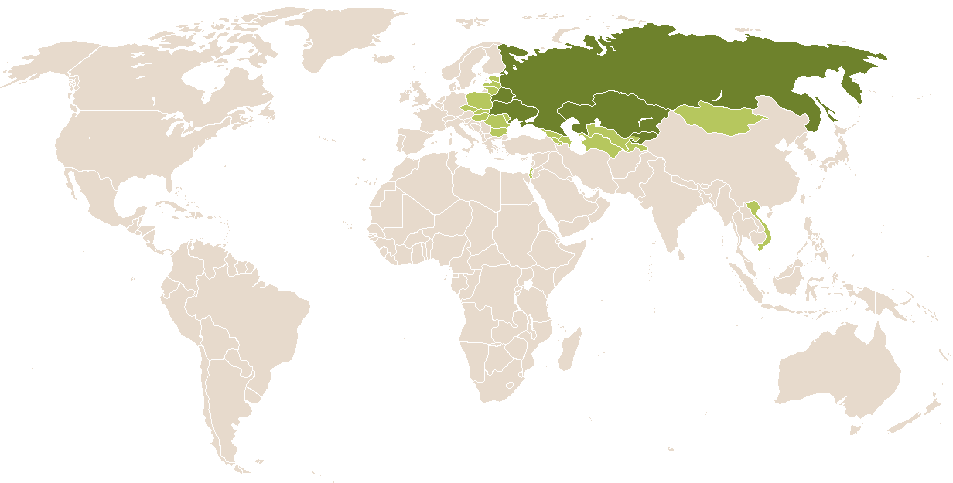 world popularity of Androsha