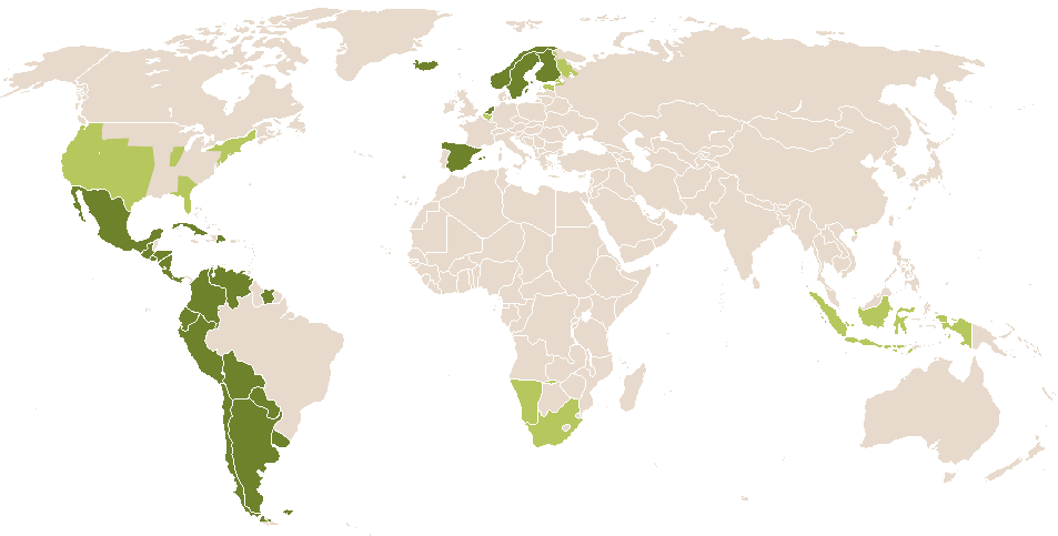 world popularity of Baltasar