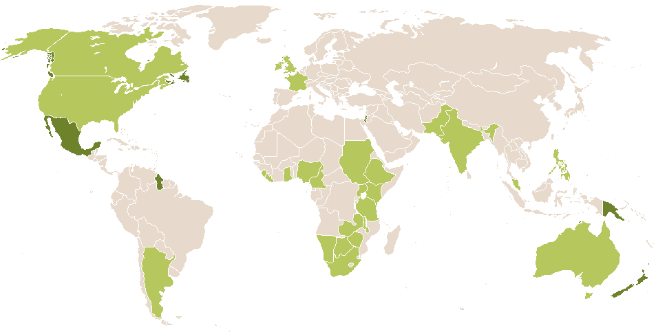 world popularity of Shira