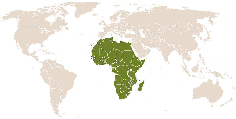 Aminata - Name Meaning, Origin, Popularity, and Related Names