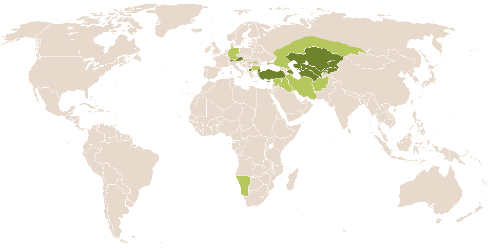 world popularity of Areion