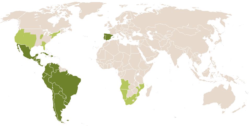 world popularity of Cunegunda