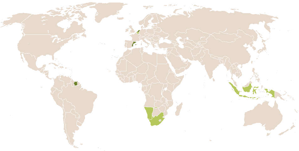 world popularity of Creüsa