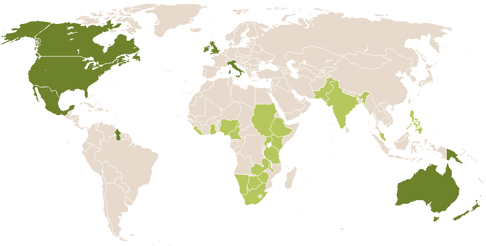 world popularity of Cherubina