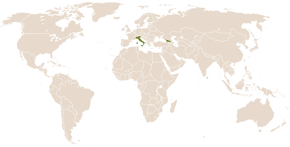 world popularity of Leonide