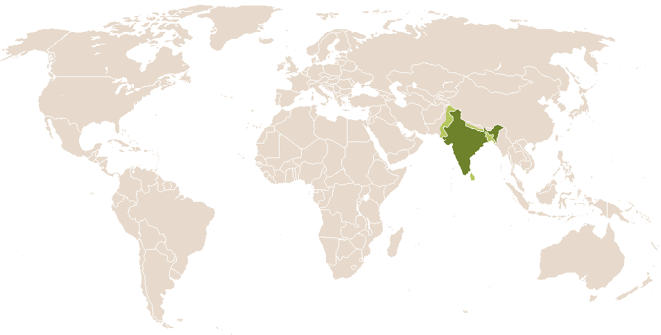 world popularity of Darshana
