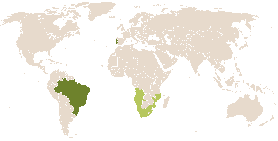 world popularity of Ana Luìsa