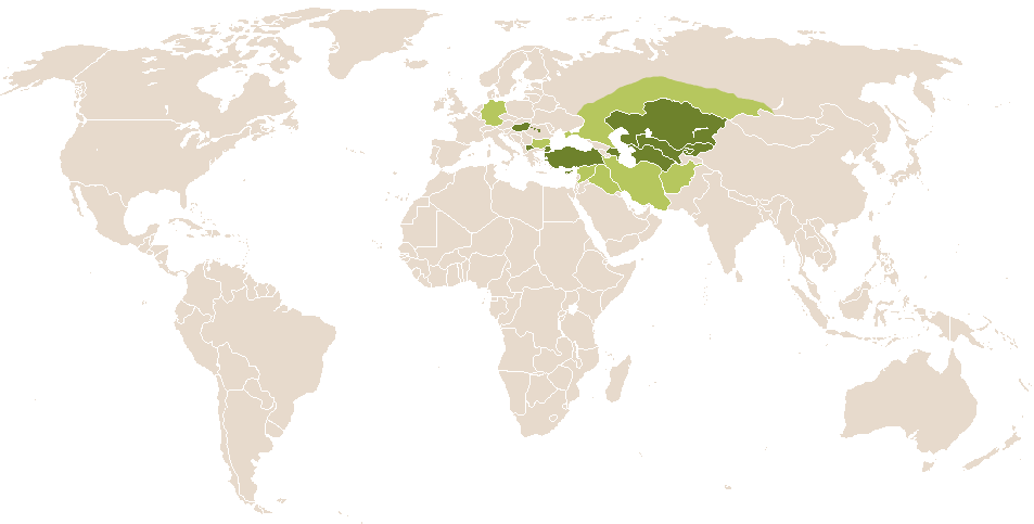 world popularity of Atád