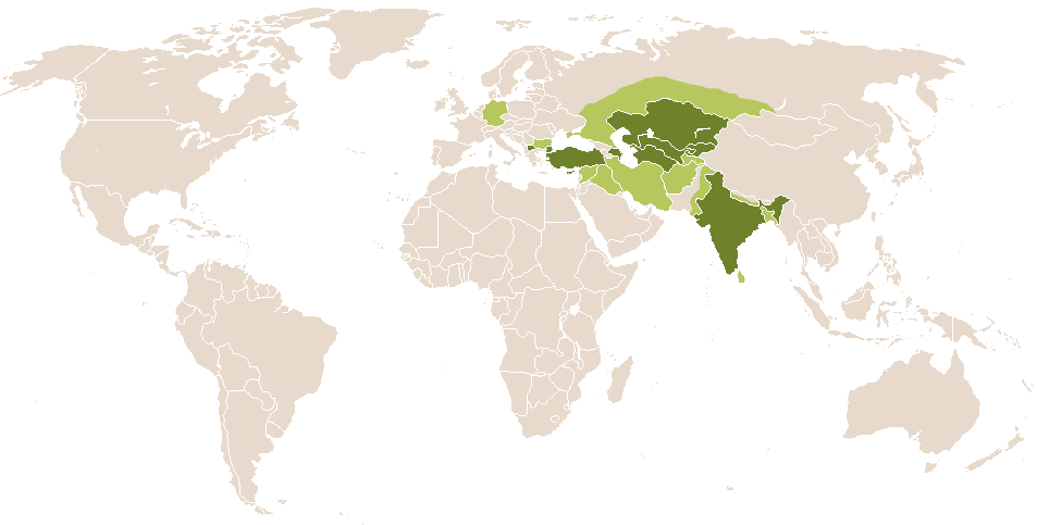 world popularity of Pari