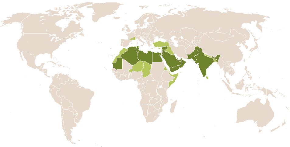 world popularity of Shariq