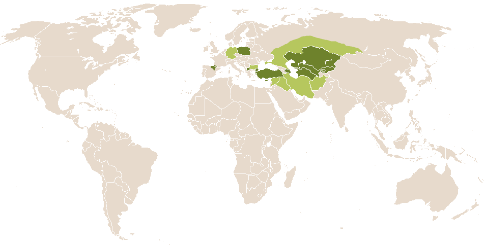 world popularity of Sofokles