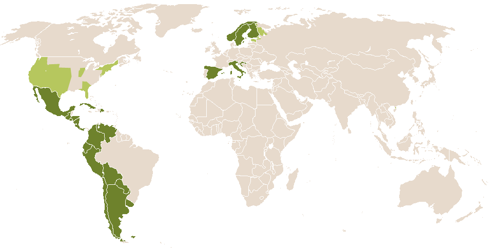 world popularity of Perpetua