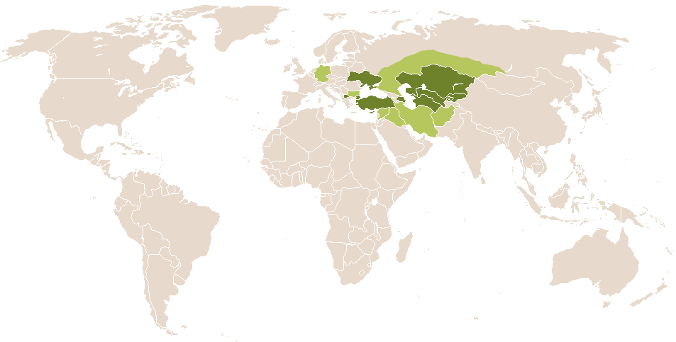 world popularity of Niks