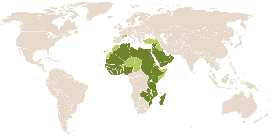 world popularity of Nabeelah