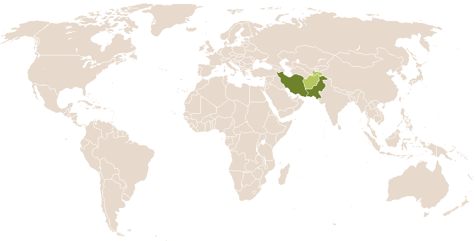 world popularity of Dilshad