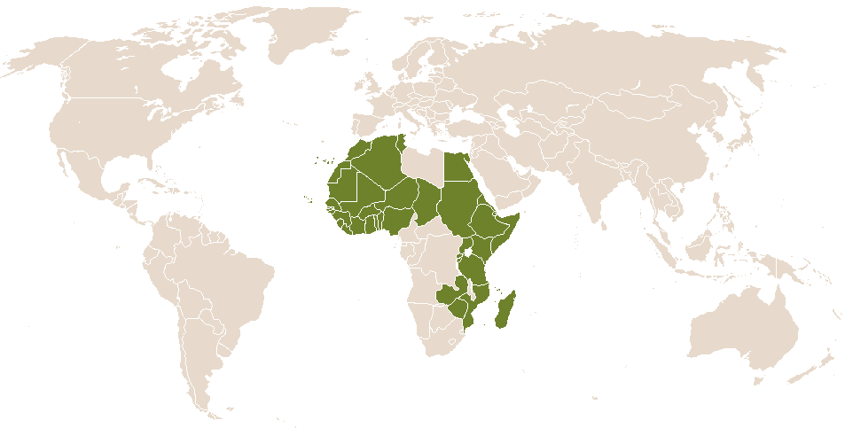 world popularity of Choucri