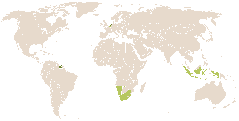 world popularity of Cunegundis