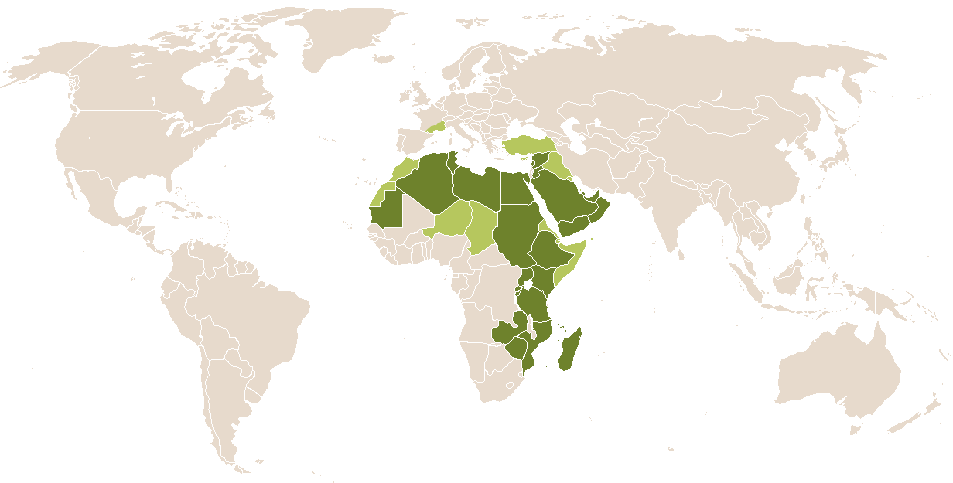 world popularity of Mukhtar