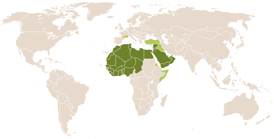 world popularity of Aabide