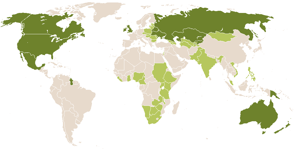 world popularity of Flavian