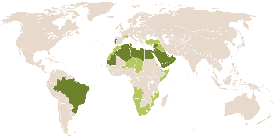 world popularity of Zaida