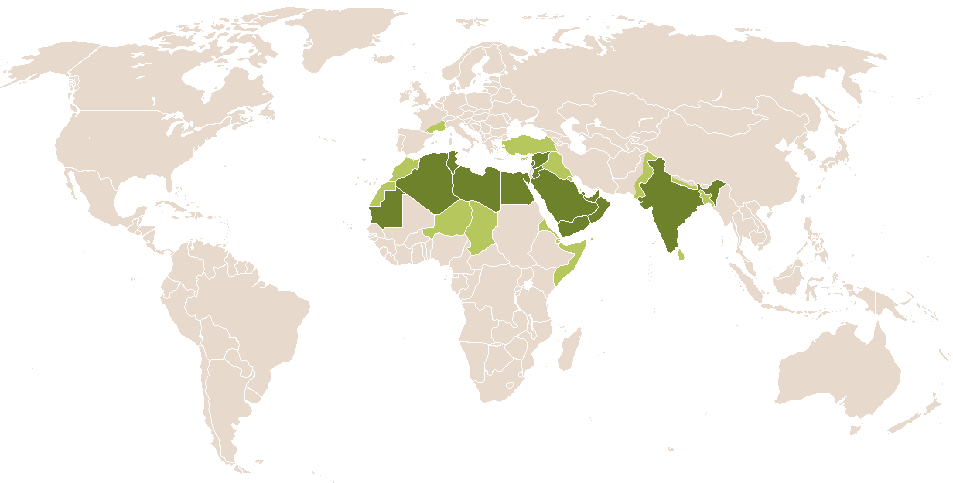 world popularity of Abdul Majeed