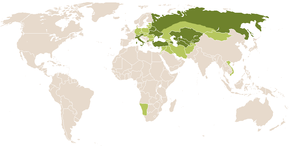 world popularity of Taras