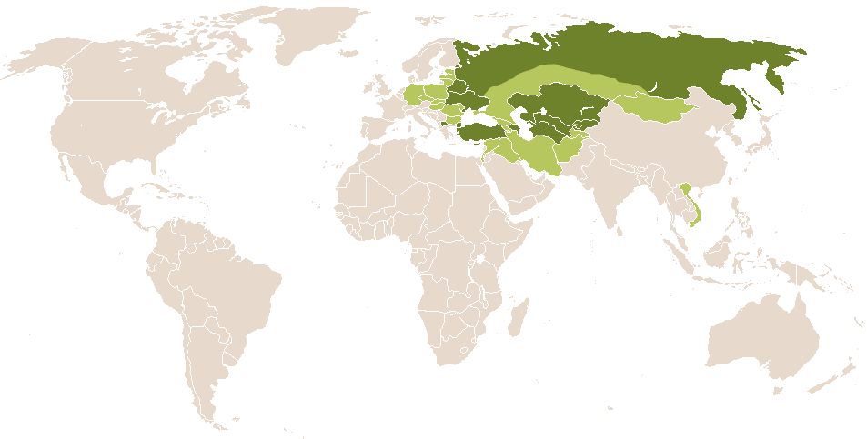 world popularity of Timur