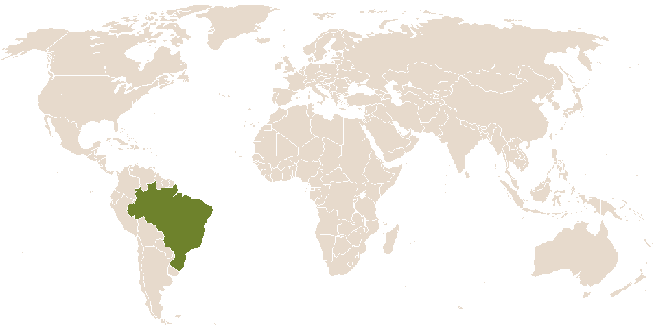 world popularity of Brandão