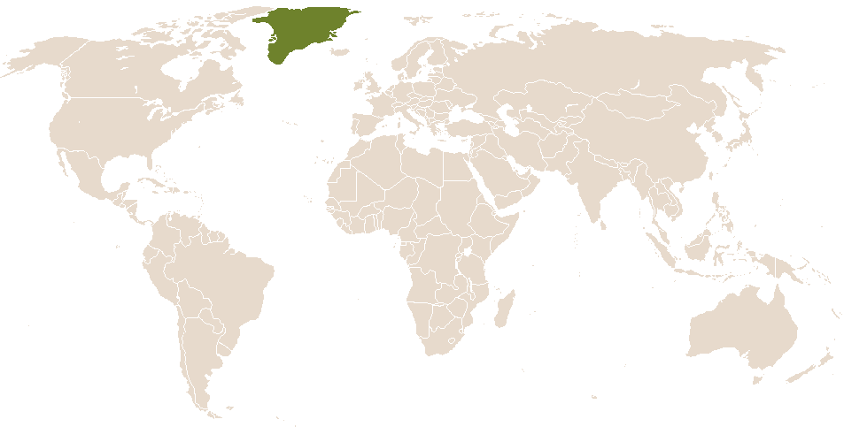 world popularity of Buutili