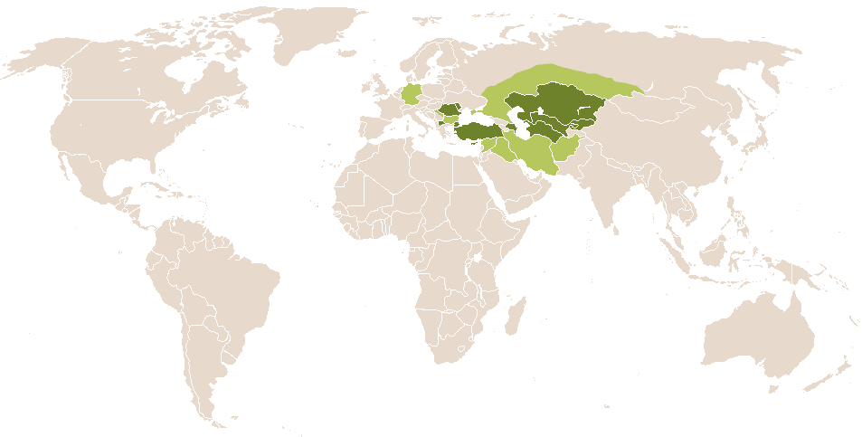 world popularity of Erebus