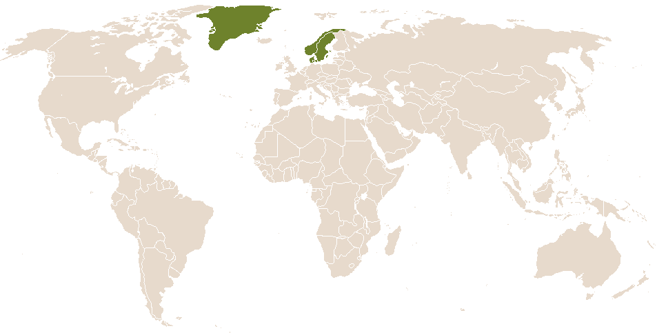world popularity of Bjarke