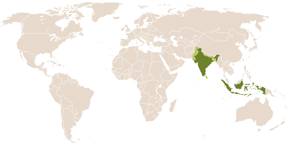 world popularity of Surya