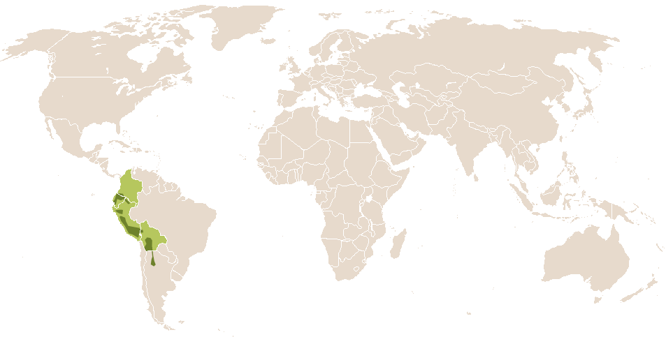 world popularity of Kusi-Quyllur