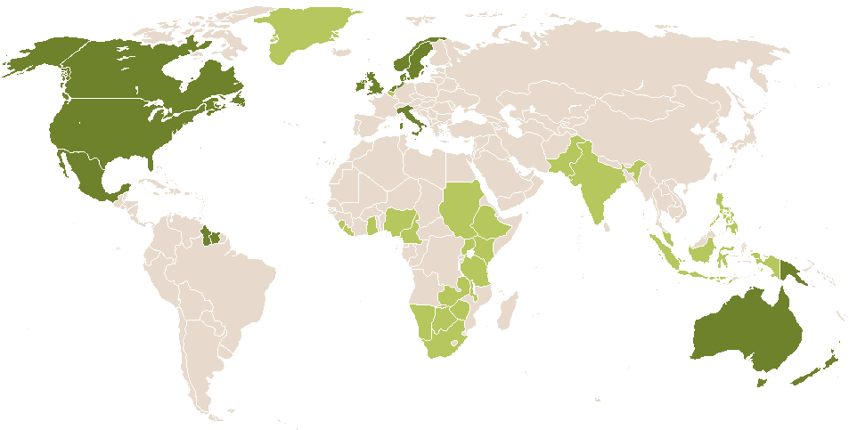 world popularity of Bet