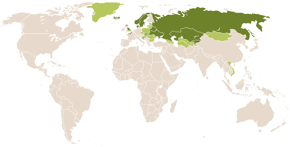 world popularity of Klement