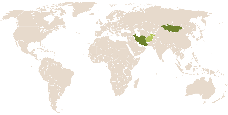 world popularity of Humayun