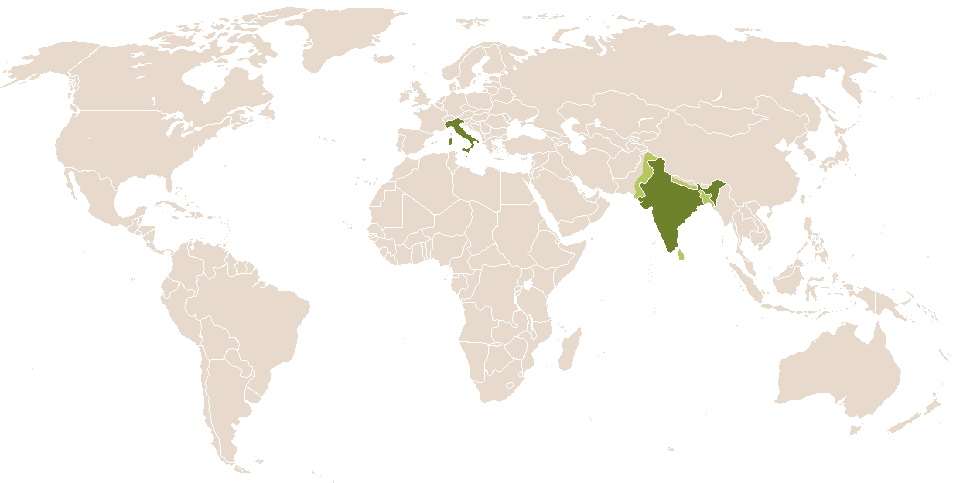 world popularity of Indro