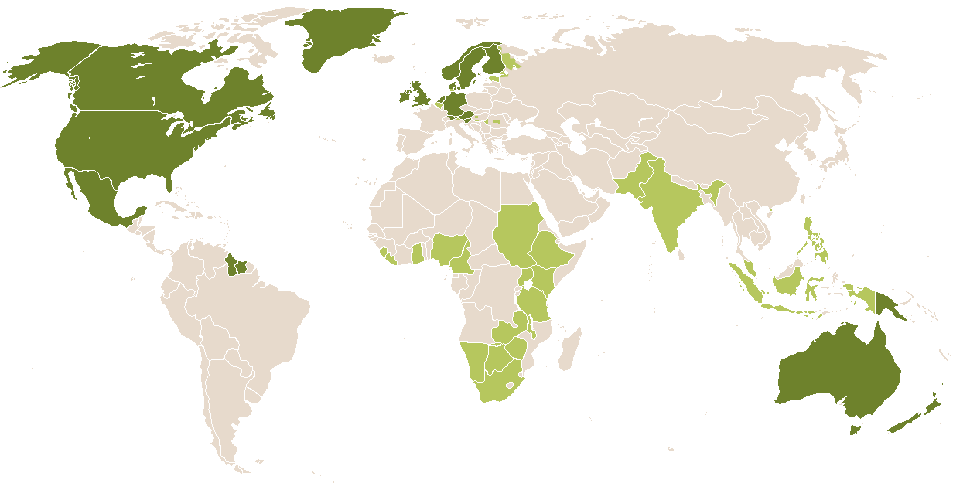 world popularity of Tim