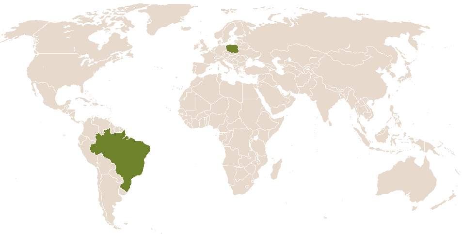 world popularity of Aretuza