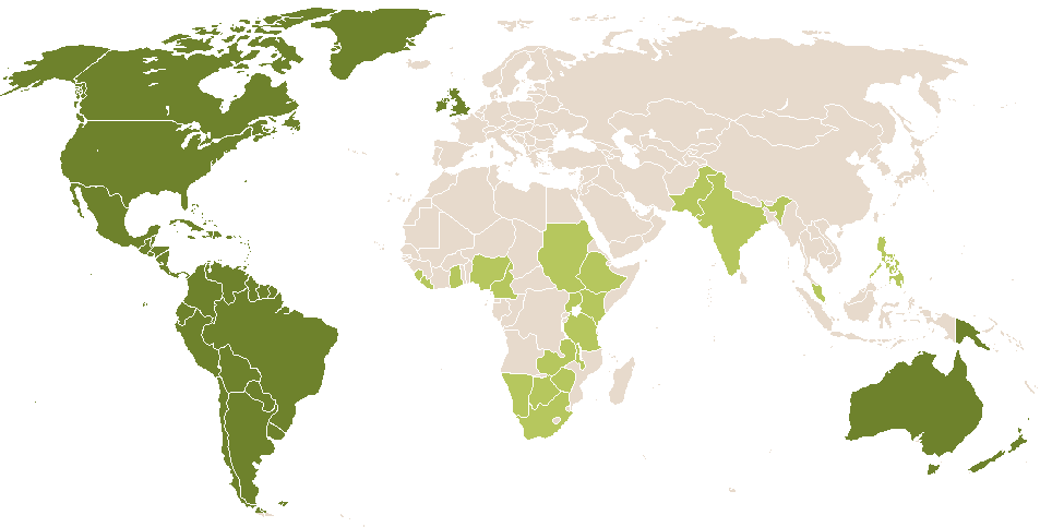 world popularity of Chey