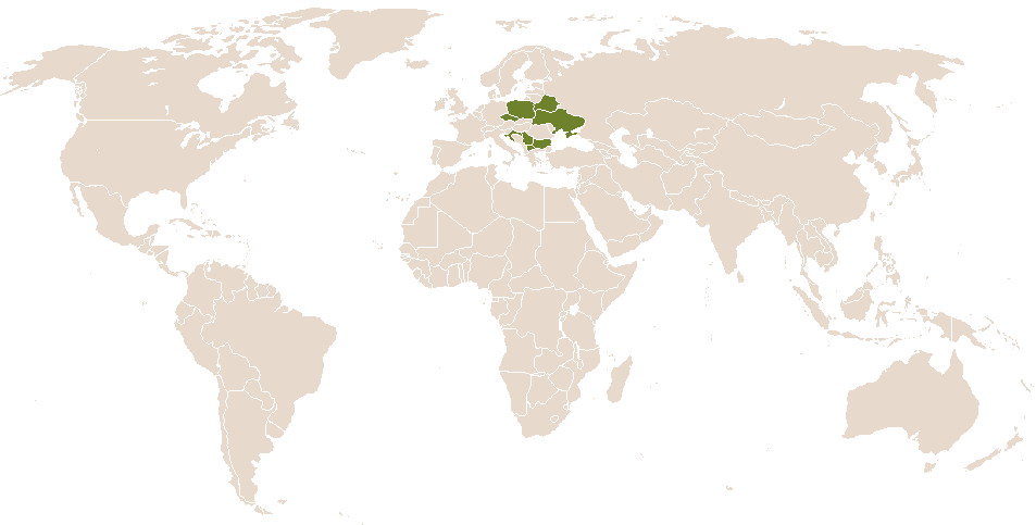 world popularity of Lazar