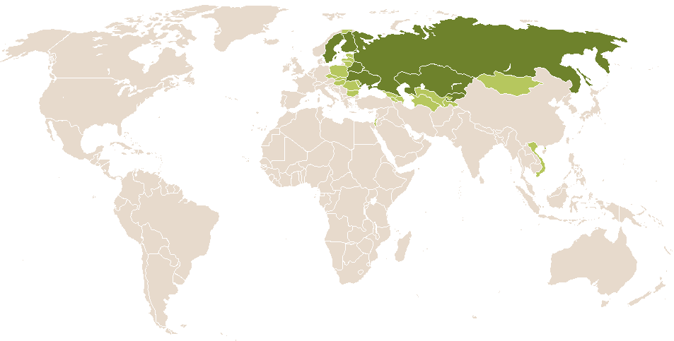 world popularity of Akilina